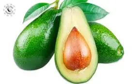 Avakado